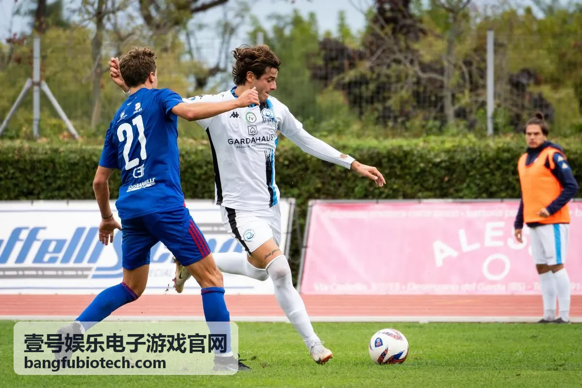 壹号娱乐电子游戏官网热门题材分类示意